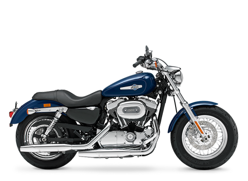 XL1200C 2013 1200 Custom