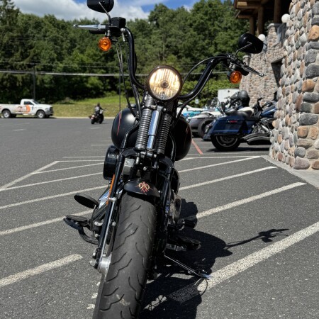 FLSTSB 2008 Softail® Cross Bones™ thumb 2