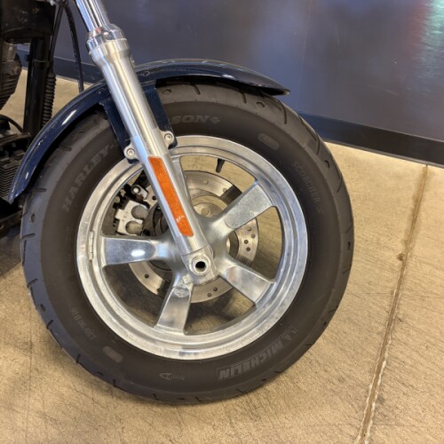  2013 XL1200CP thumb 2