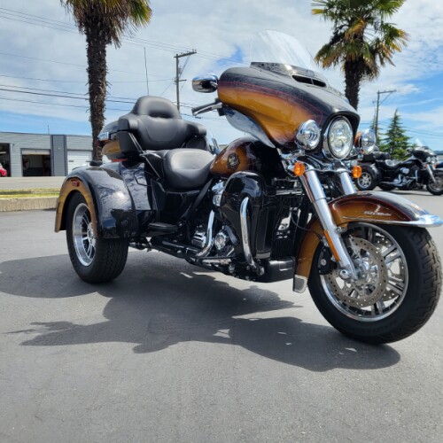 2024 Harley-Davidson® Tri Glide® Ultra Tobacco Fade thumb 3