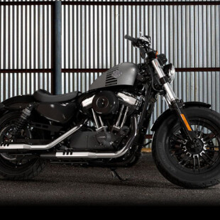 XL 1200X 2016 Forty-Eight® thumb 2