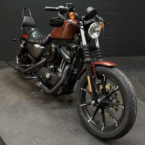 Harley-Davidson® Iron 883™ 2017 XL 883N RED thumb 3