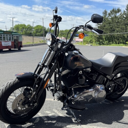 FLSTSB 2008 Softail® Cross Bones™ thumb 1