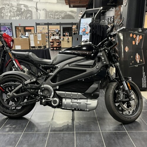  2020 Harley-Davidson® LiveWire™ thumb 0