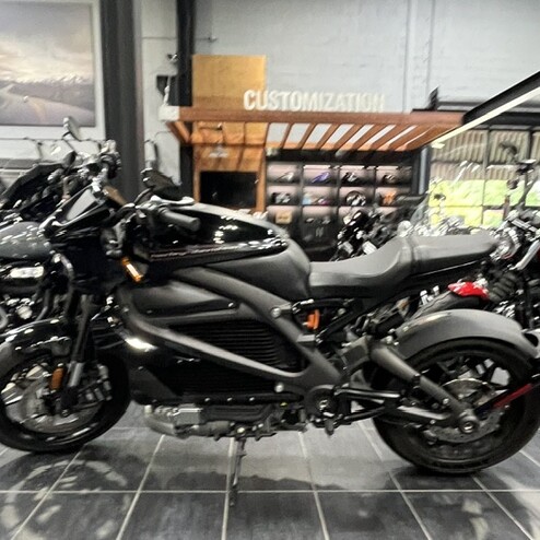  2020 Harley-Davidson® LiveWire™ thumb 1