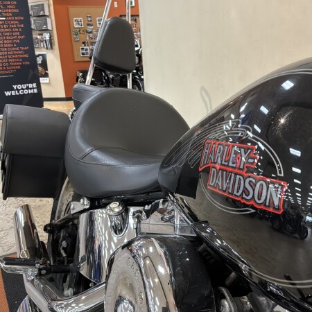 FXSTC 2009 Softail® Custom thumb 2