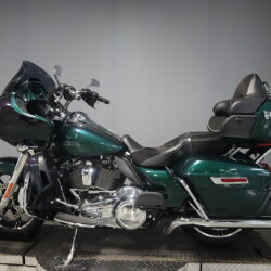 2021 Harley-Davidson® Road Glide® Limited – Snake Venom | Rawhide