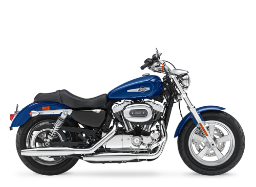 2016 Harley-Davidson® 1200 Custom WHSKY/V BLK W/PINSTRIPE