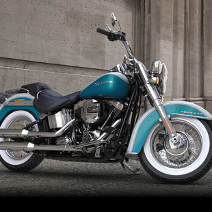 FLSTN 2016 Softail® Deluxe thumb 3