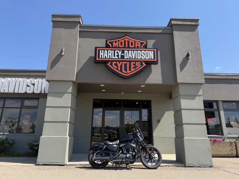 2022 Harley-Davidson® Iron 883™ Black Denim