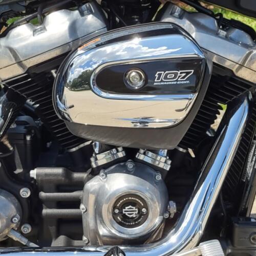 Harley-Davidson® Softail™ Standard 2024 thumb 2