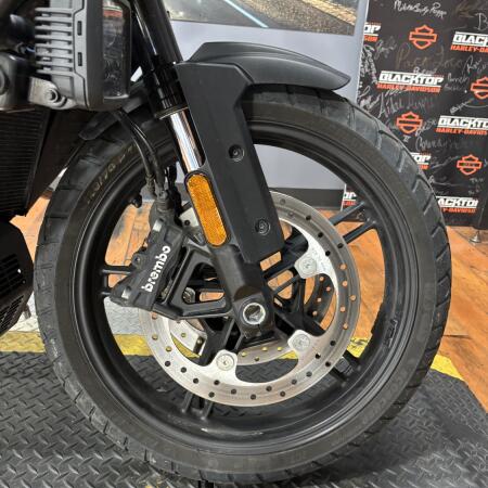2022 Harley-Davidson® Pan America™ 1250 Special MNR GRN DNM DLX thumb 1