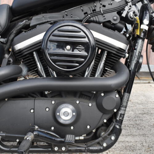 2021 Harley-Davidson® Iron 883™ XL 883N thumb 2