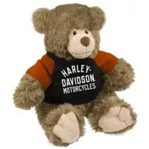 Harley-Davidson medo