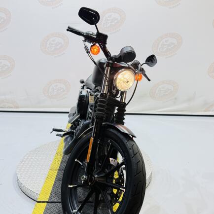 2021 Iron 883™ XL 883N thumb 0