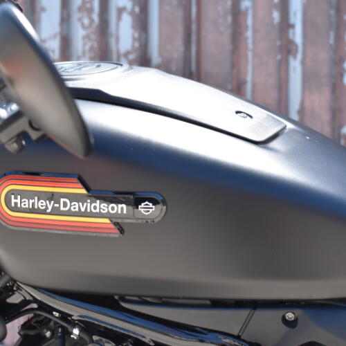 2025 Harley-Davidson® Nightster® Special RH975S thumb 2