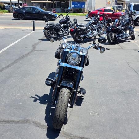 FLSL 2020 Softail Slim® thumb 3