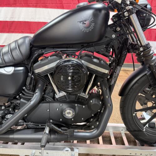 XL 883N 2022 Iron 883™ thumb 0
