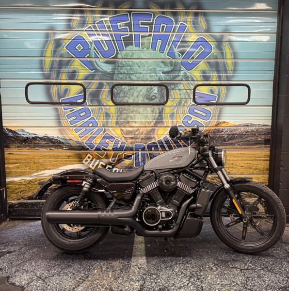 2026 Harley-Davidson® Nightster® Dark Billiard Gray Black Trim