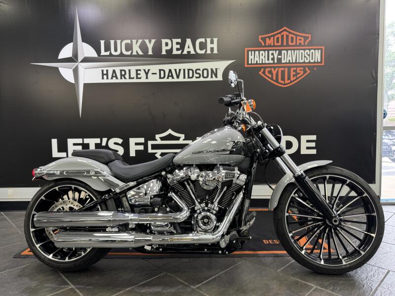 2024 Harley-Davidson® Breakout® 117 Billiard Gray