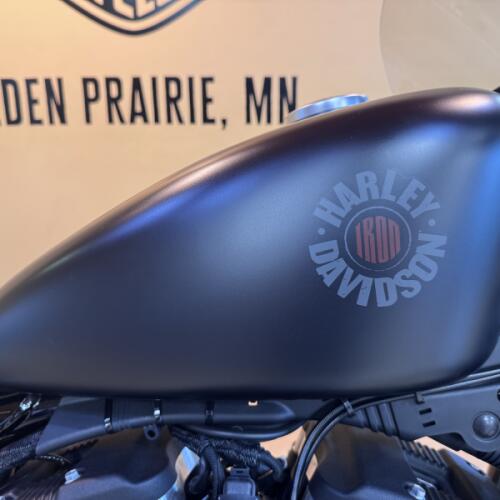 2019 Harley-Davidson® Iron 883™ Black Denim thumb 3