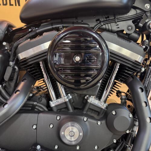 2019 Harley-Davidson® Iron 883™ Black Denim thumb 2