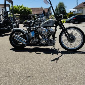 Panhead sucht neuen Wirkungskreis thumb 1