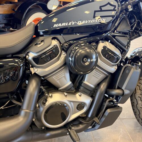 2022 Harley-Davidson Nightster RH975 thumb 2
