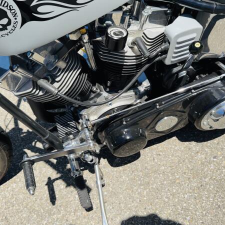 Panhead sucht neuen Wirkungskreis thumb 2