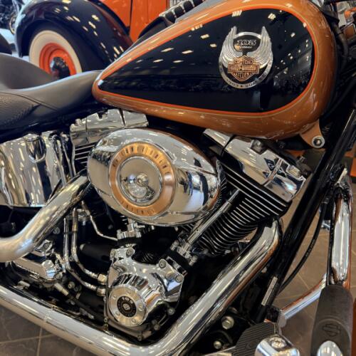 2008 Harley-Davidson Softail Deluxe FLSTN thumb 2