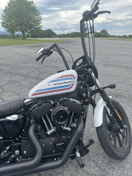 2021 Harley-Davidson® Iron 1200™ Stone Washed White Pearl