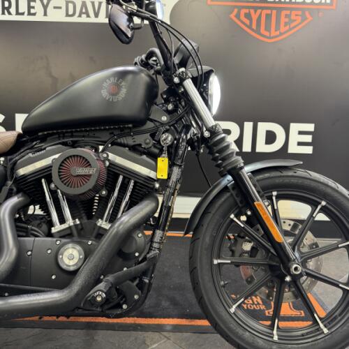 2020 Harley-Davidson® Iron 883™ Black Denim thumb 3