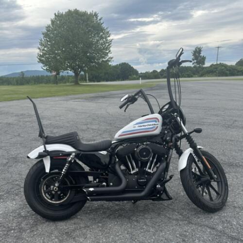 2021 Harley-Davidson® Iron 1200™ Stone Washed White Pearl thumb 2