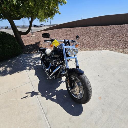FXDF 2009 Fat Bob® thumb 2