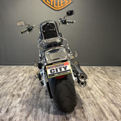 2025 Harley-Davidson® Fat Boy® Gray Ghost Reflection thumb 1