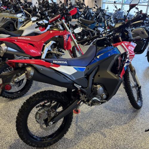 2026 Honda CRF300L Rally CRF300LRAS thumb 1