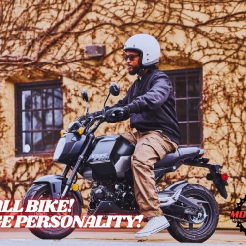 2026 Honda Grom™ MSX125T thumb 3