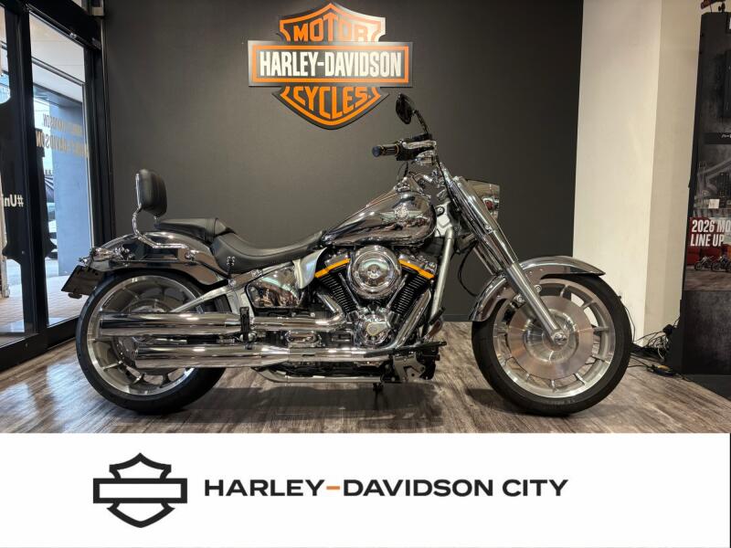 2025 Harley-Davidson® Fat Boy® Gray Ghost Reflection