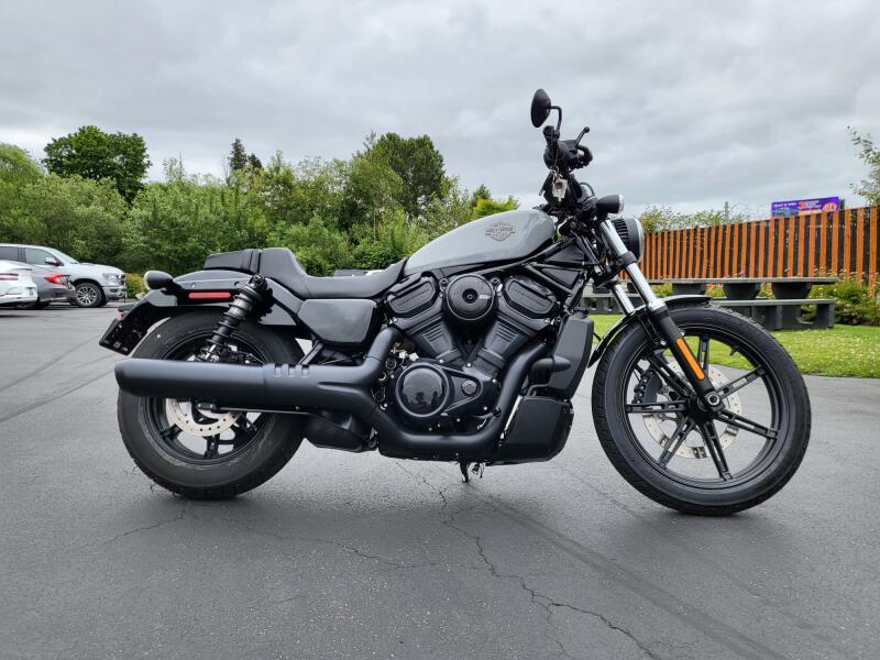 2025 Harley-Davidson® Nightster® Billiard Gray