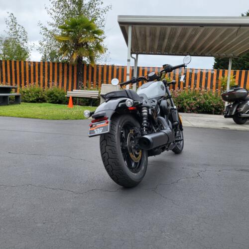 2025 Harley-Davidson® Nightster® Billiard Gray thumb 1