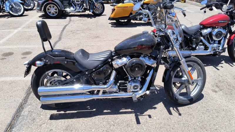 FXST 2024 Softail™ Standard