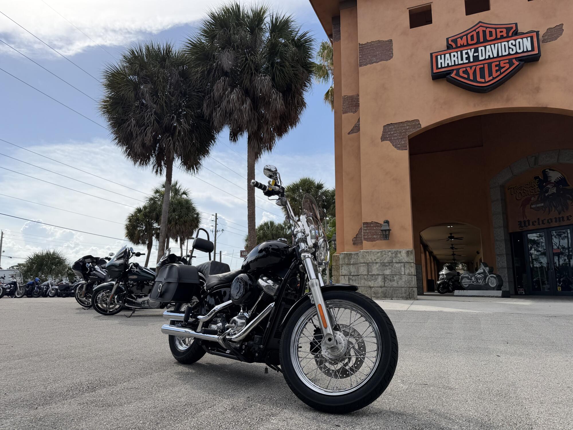 Harley-Davidson® Softail Standard® 2020
