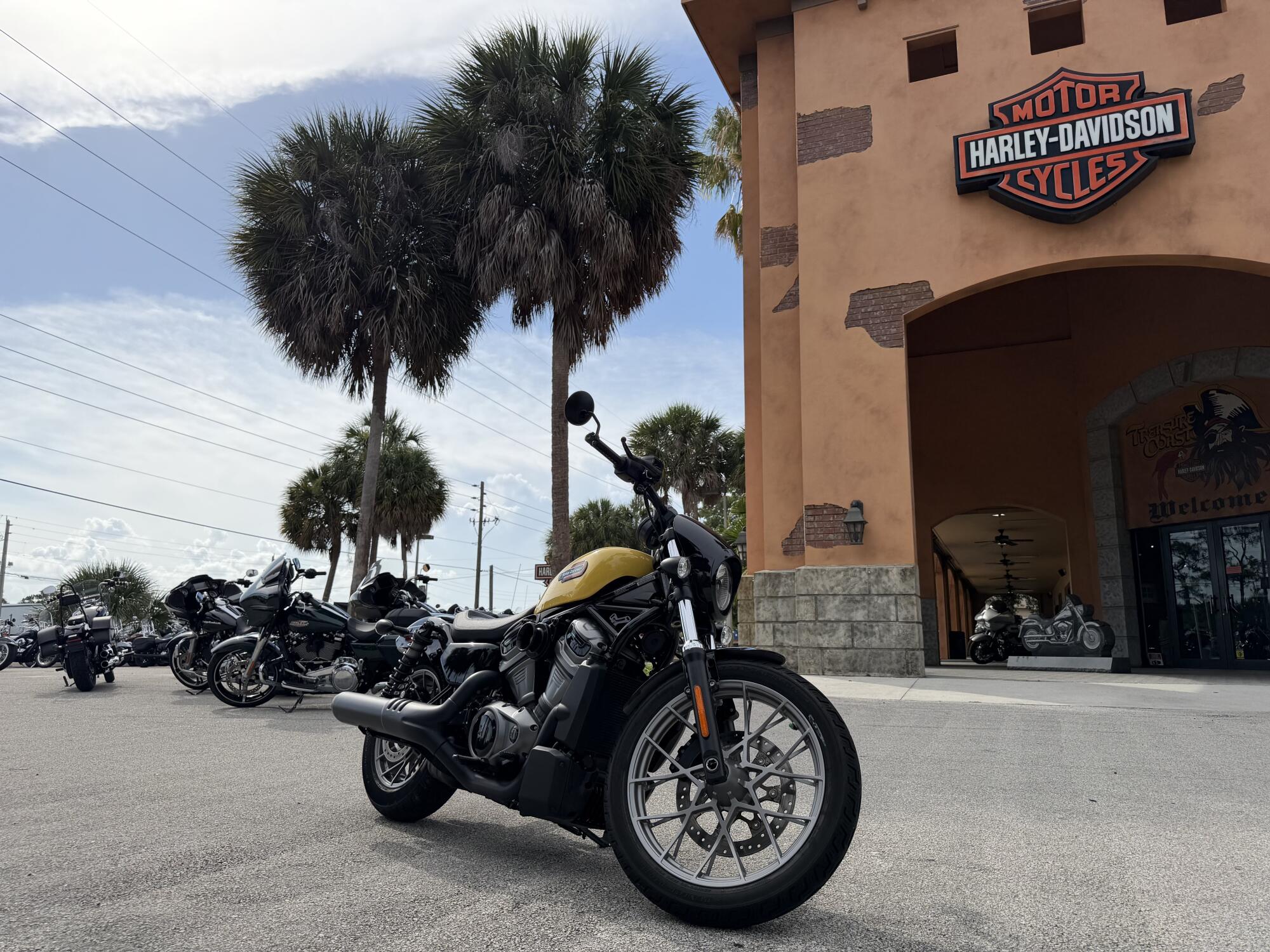 Harley-Davidson® Nightster™ Special 2023