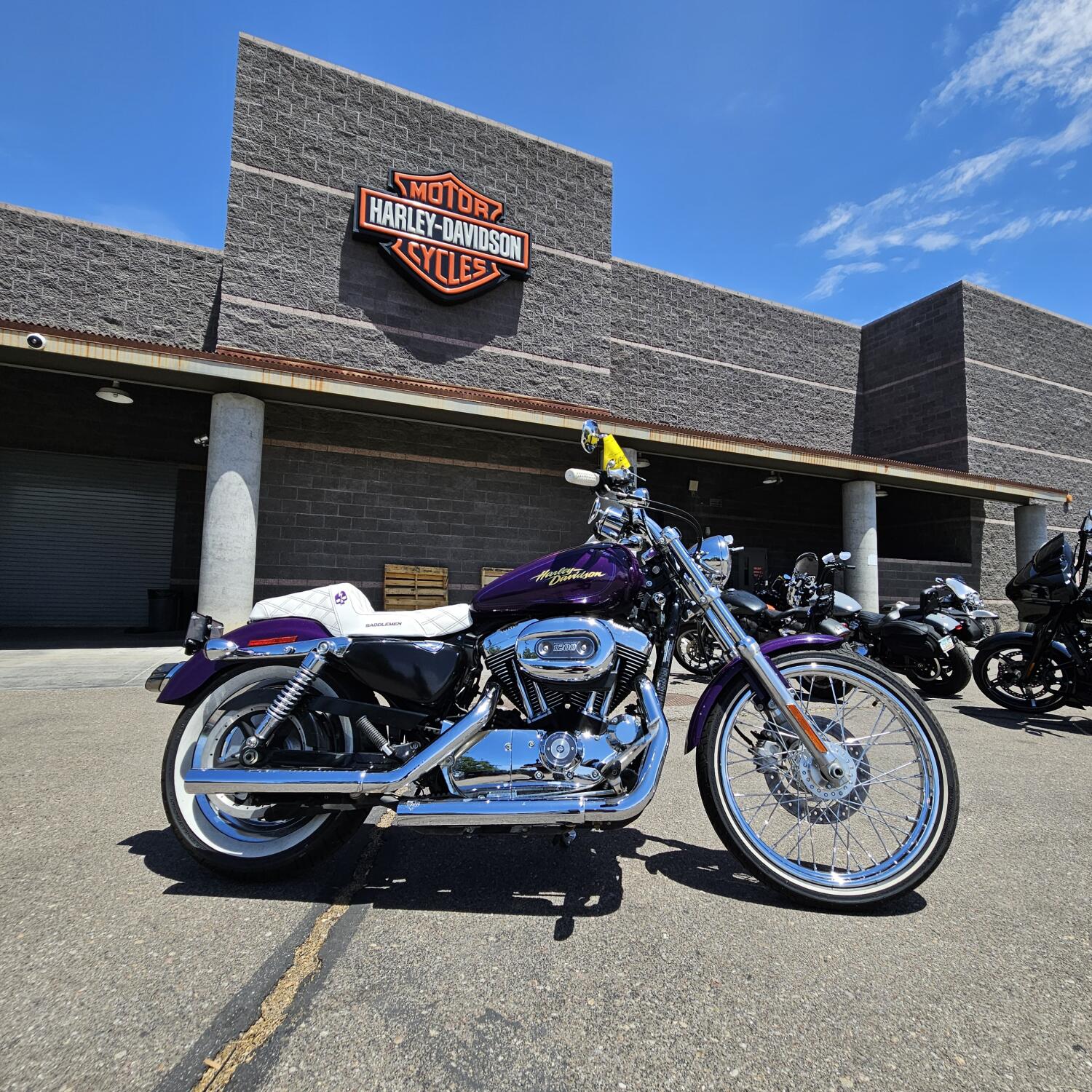 XL1200C 2008 1200 Custom