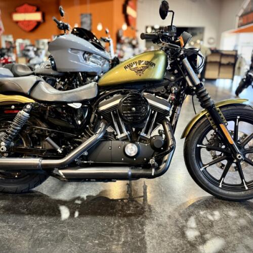 2016 Harley-Davidson® Iron 883™ Olive Gold thumb 3