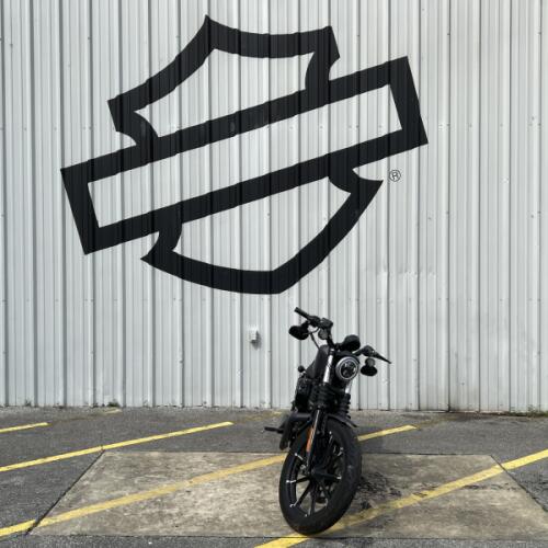 2017 Harley-Davidson® Iron 883™ Charcoal Denim thumb 3