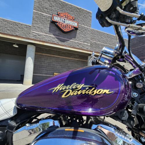 XL1200C 2008 1200 Custom thumb 2