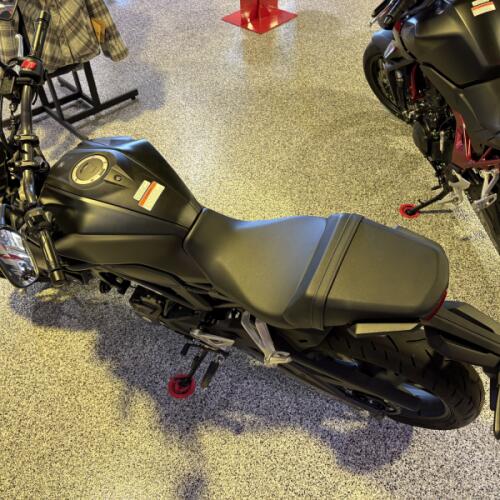 2025 Honda CB300R ABS thumb 1