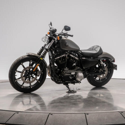 2019 HARLEY-DAVIDSON XL883N IRON 883 in Industrial Gray thumb 0