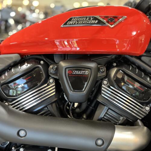 RH1250S 2026 Sportster® S thumb 2